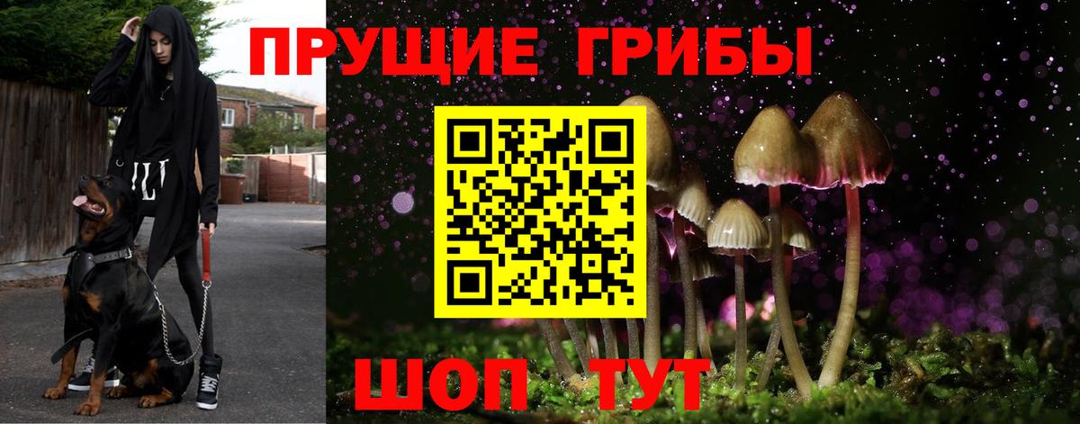 Галлюциногенные грибы Cubensis  Вход с VPN  Галлюциногенные грибы Psilocybe  Реутов 